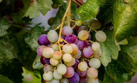 Entrepreneurship as a Second Career: A Project for a New Life Chapter